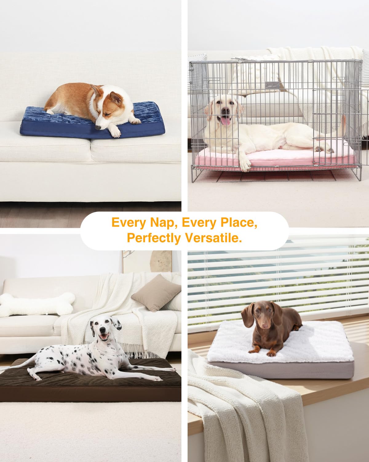 KSIIA cama junto a perro para comparar tamaño y proporción