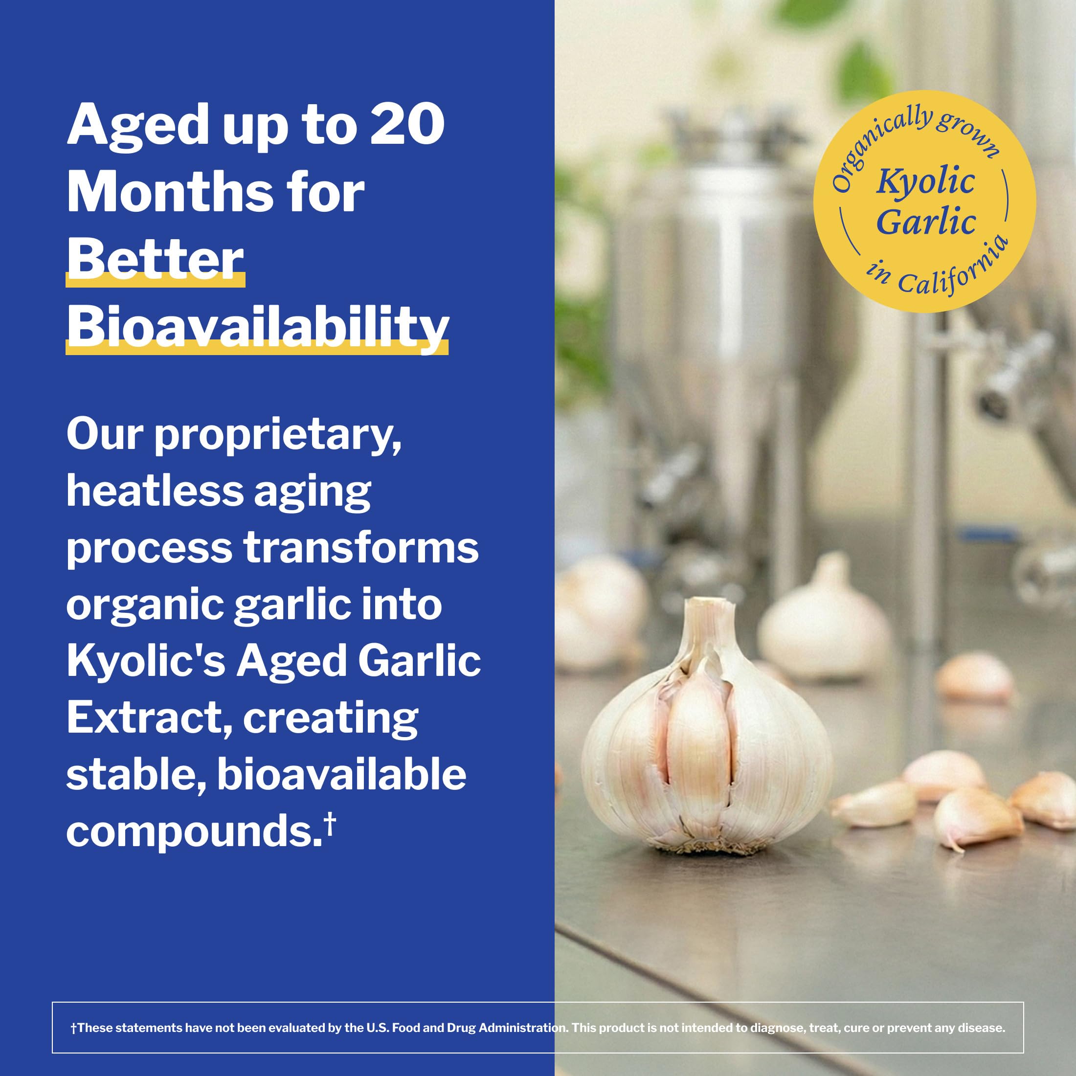 Kyolic ajo orgánico en campo que resalta origen natural del extracto