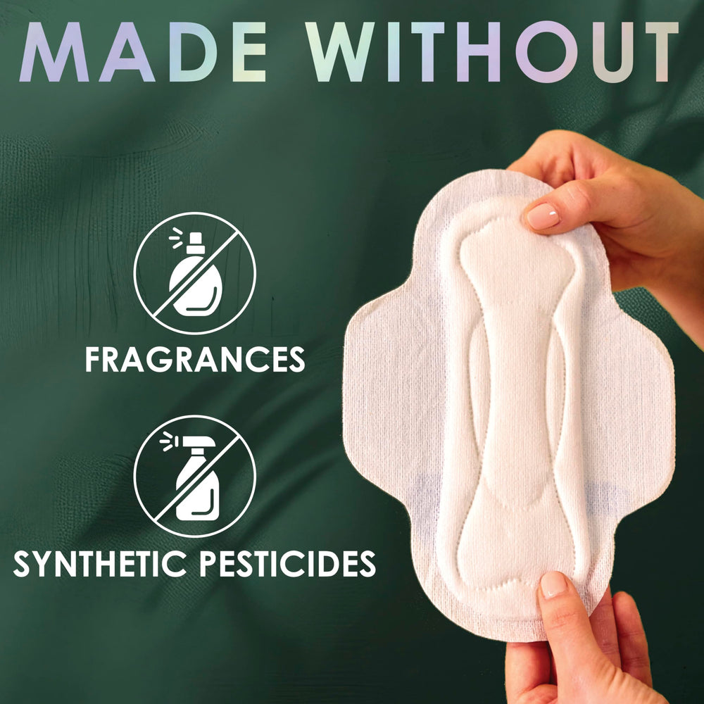 L. compresa colocada en ropa interior para protección discreta