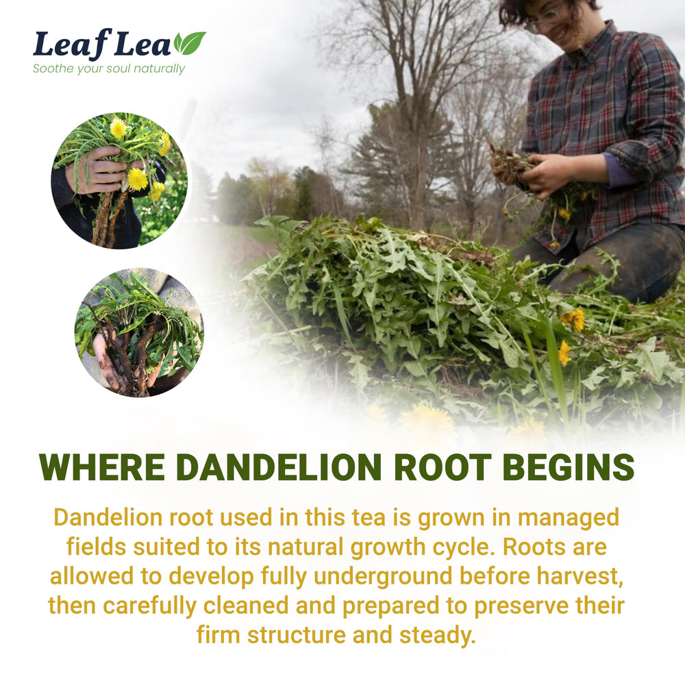 LeafLea etiqueta con información del producto, detalles de ingrediente único