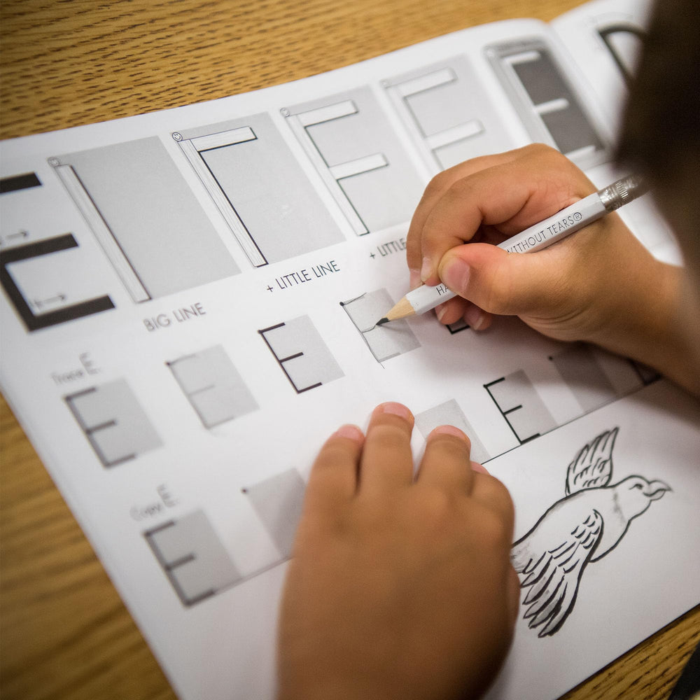 Learning Without Tears uso en aula Pre-K, facilita enseñanza guiada