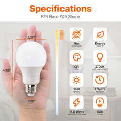 LEDVANCE SYLVANIA primer plano del acabado esmerilado y difusión uniforme de luz