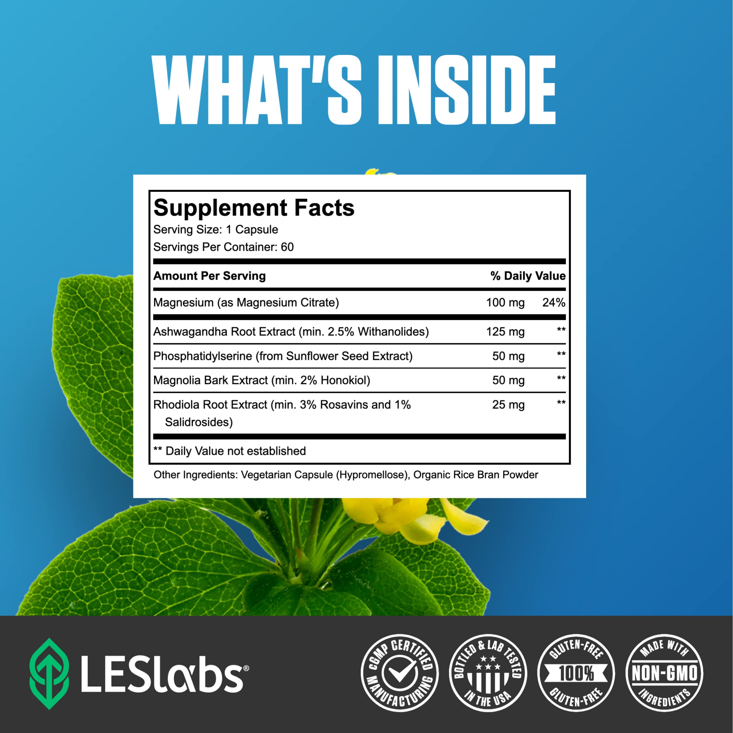 LES Labs cápsula junto a regla para comparación de tamaño