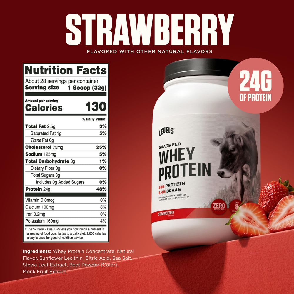 Levels Nutrition primer plano textura del polvo, mezcla homogénea y sin grumos