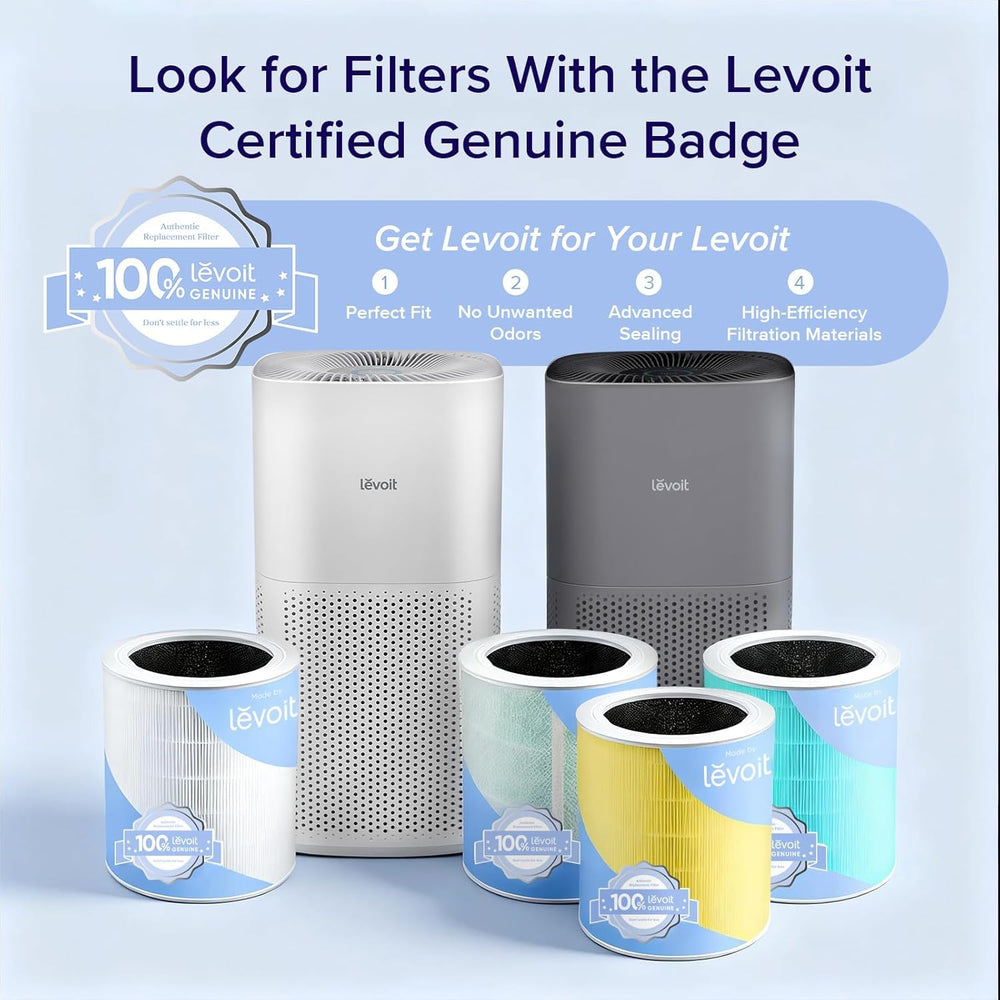 Levoit Core 600S-P junto a persona para mostrar escala y cobertura