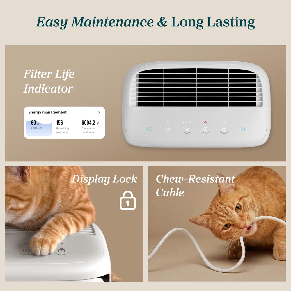 Levoit Vital Pet cable resistente a mordeduras seguridad y durabilidad diaria