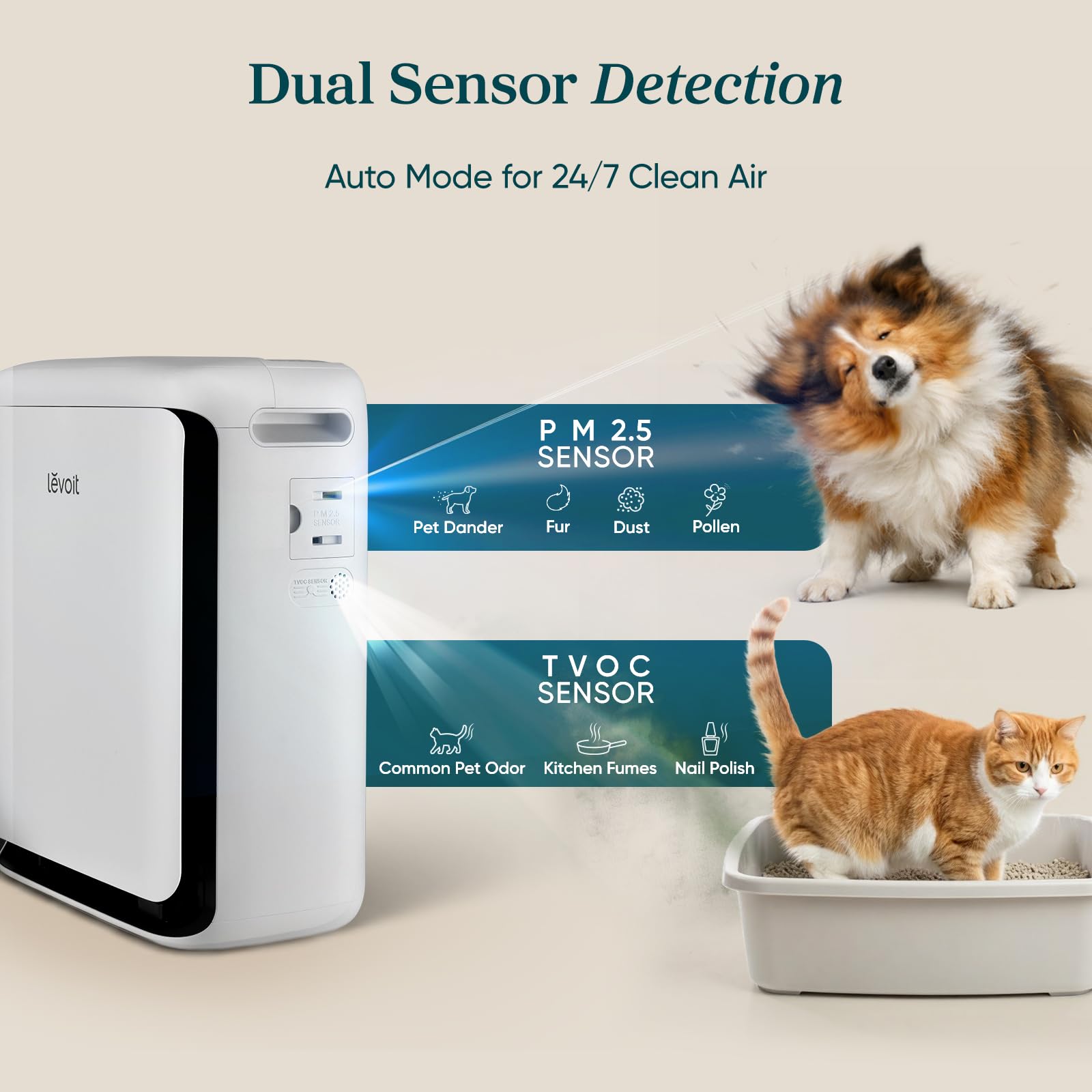 Levoit Vital Pet entrada en U capturando pelo para un hogar más limpio