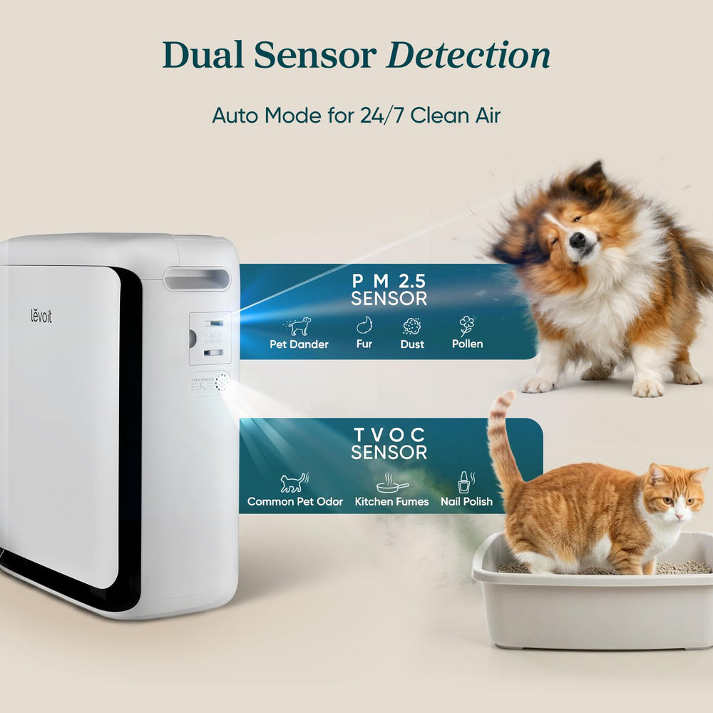 Levoit Vital Pet entrada en U capturando pelo para un hogar más limpio