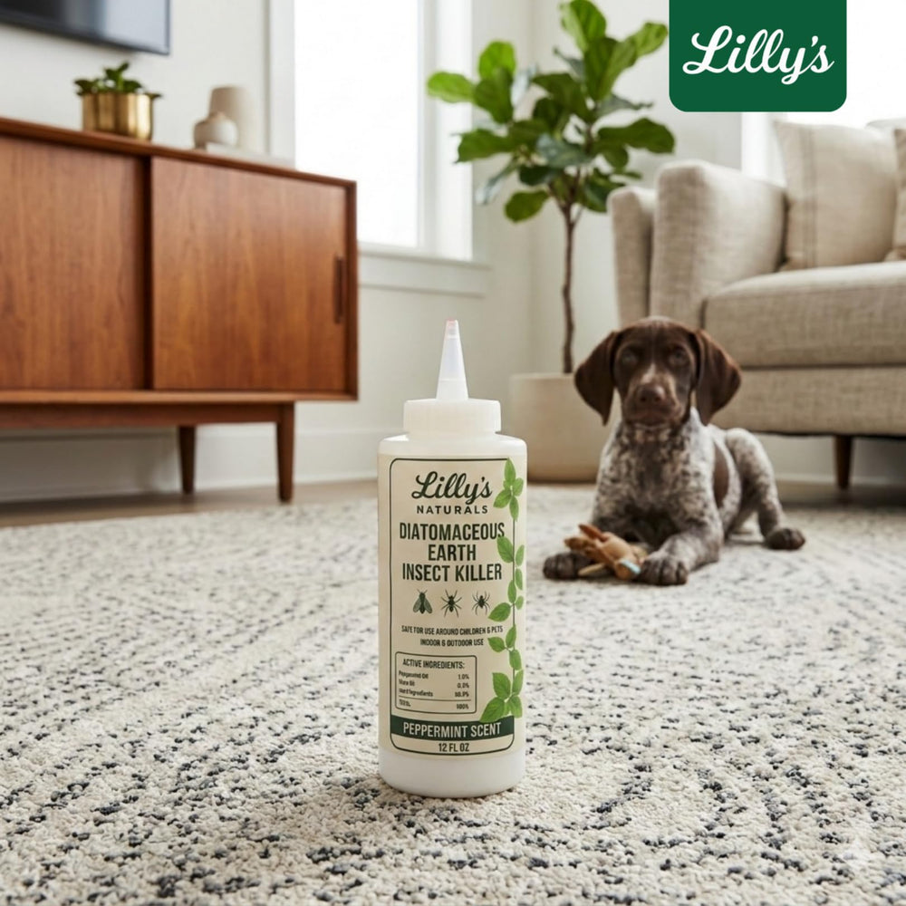 Lilly's Naturals comparación de tamaño con mano para visualizar cantidad