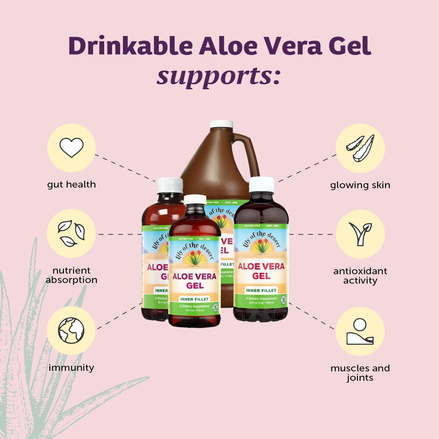 Lily Of The Desert jarra y vaso con jugo listo para beber mejora hidratación