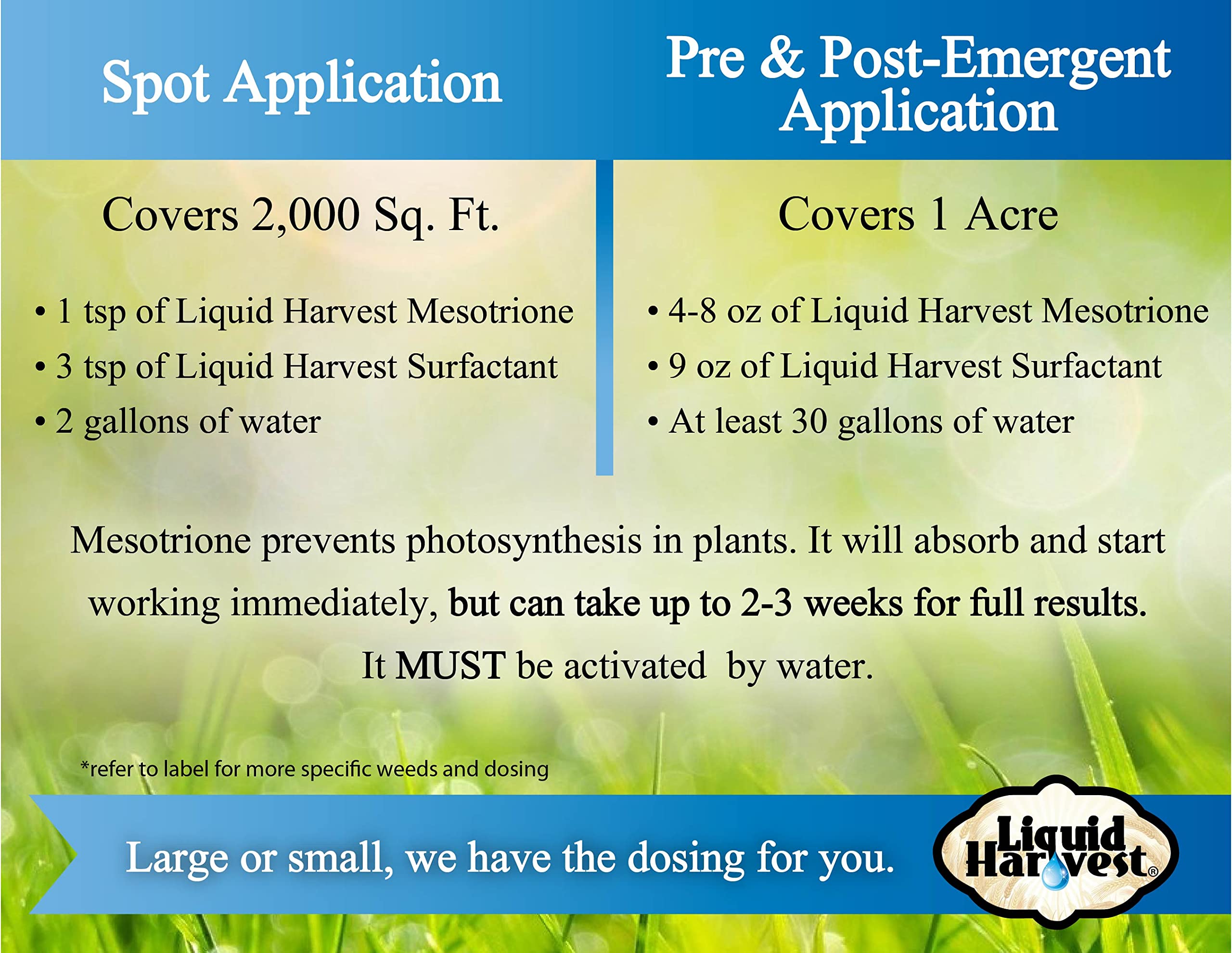 Frasco Liquid Harvest al lado de una regla para escala exacta