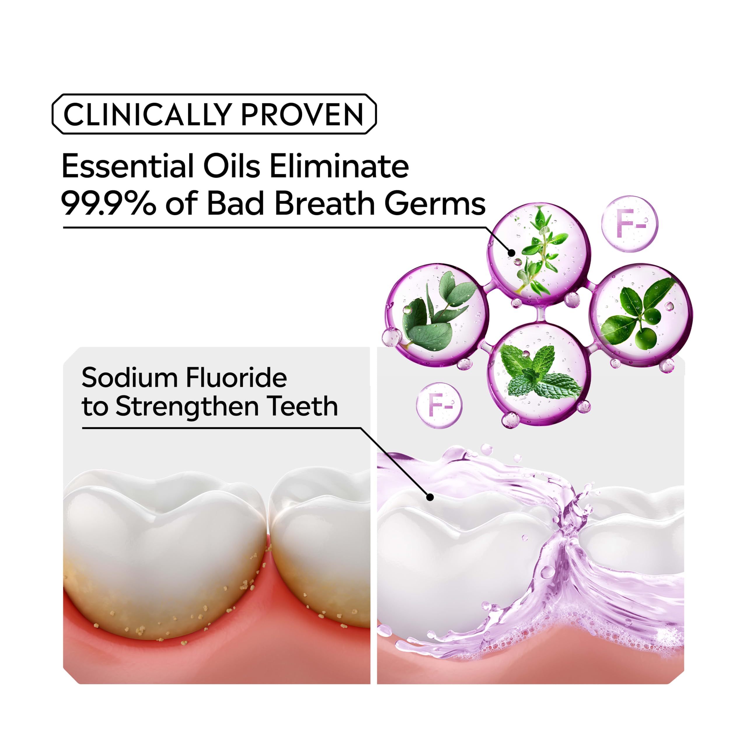 Listerine comparación con cepillo de dientes para referencia de tamaño