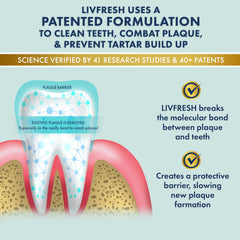 LIVFRESH gel sobre cepillo de dientes listo para uso que facilita limpieza interdental