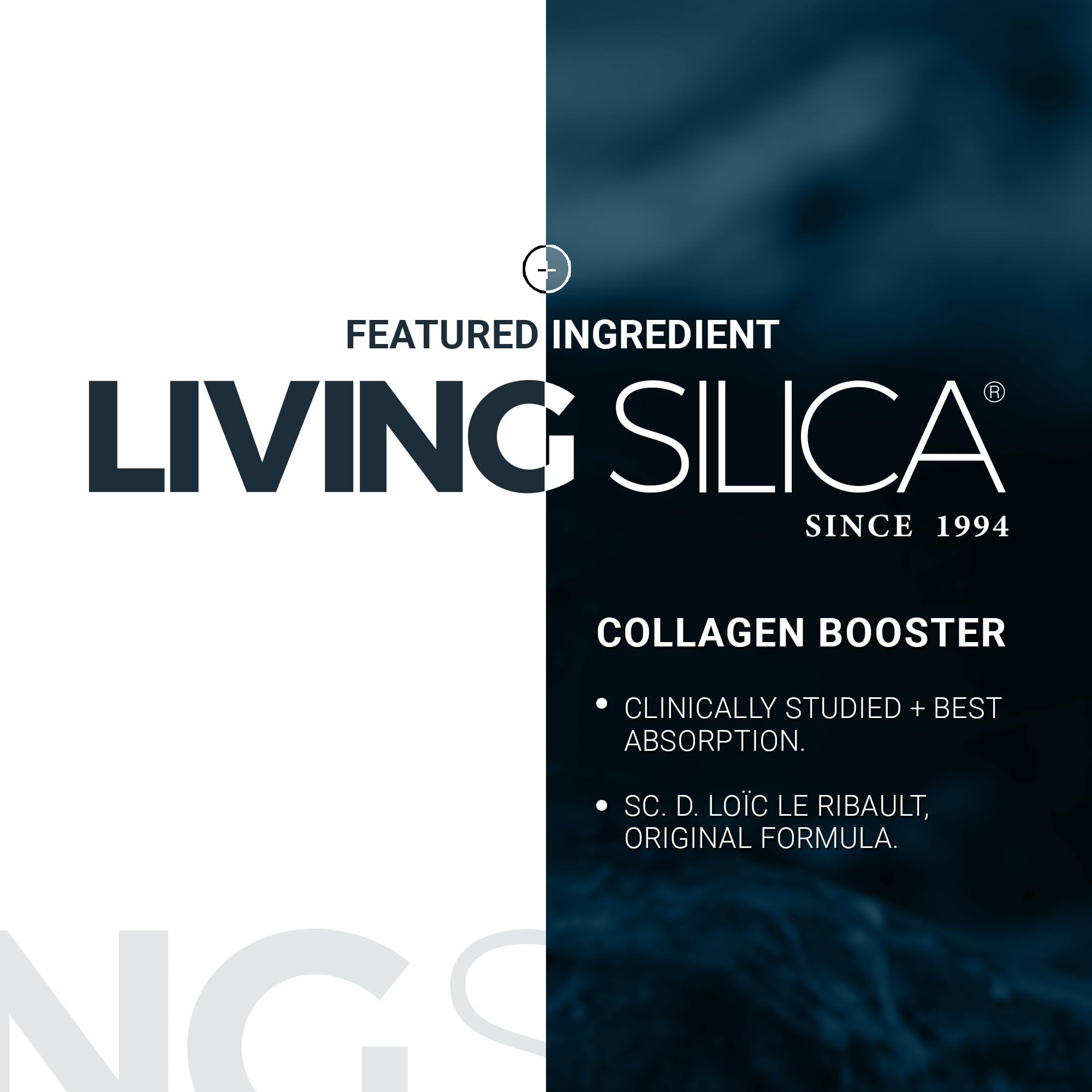 Living Silica ORGONO ambientación con productos de bienestar para estilo de vida saludable