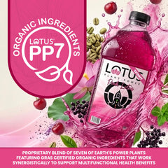 Lotus Plant Power vaso rosa preparado con hielo para refresco instantáneo y sin azúcar