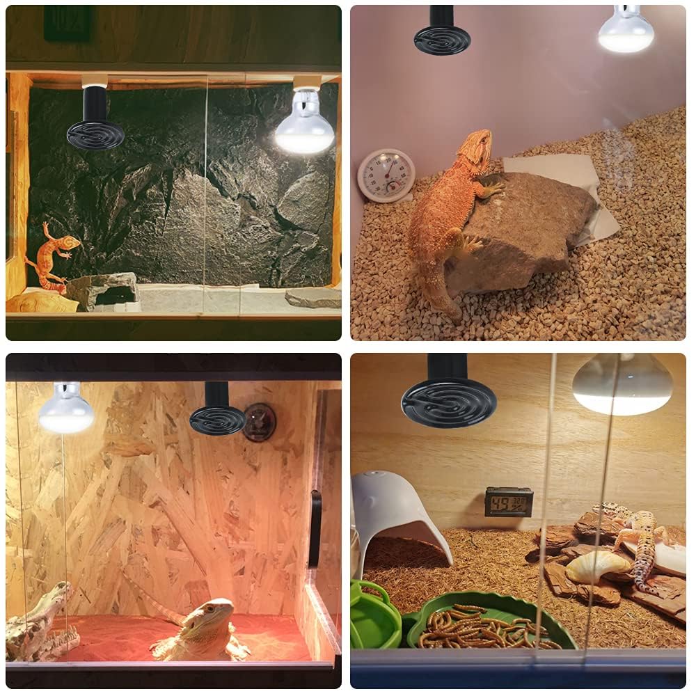 LUCKY HERP pack de dos unidades listo para instalación rápida