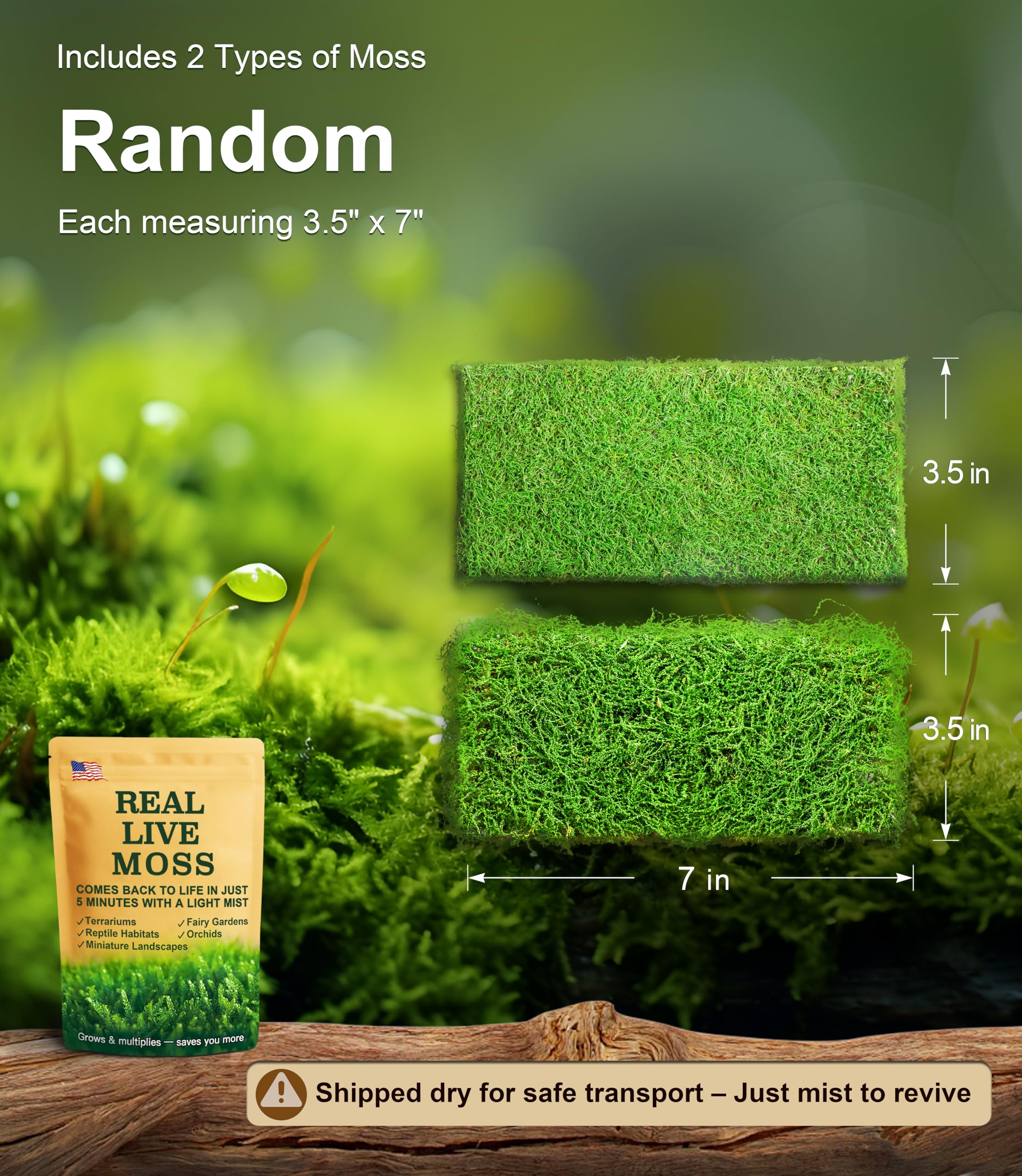 LUCKYRUNES musgo vista de textura cercana que muestra porosidad y retención
