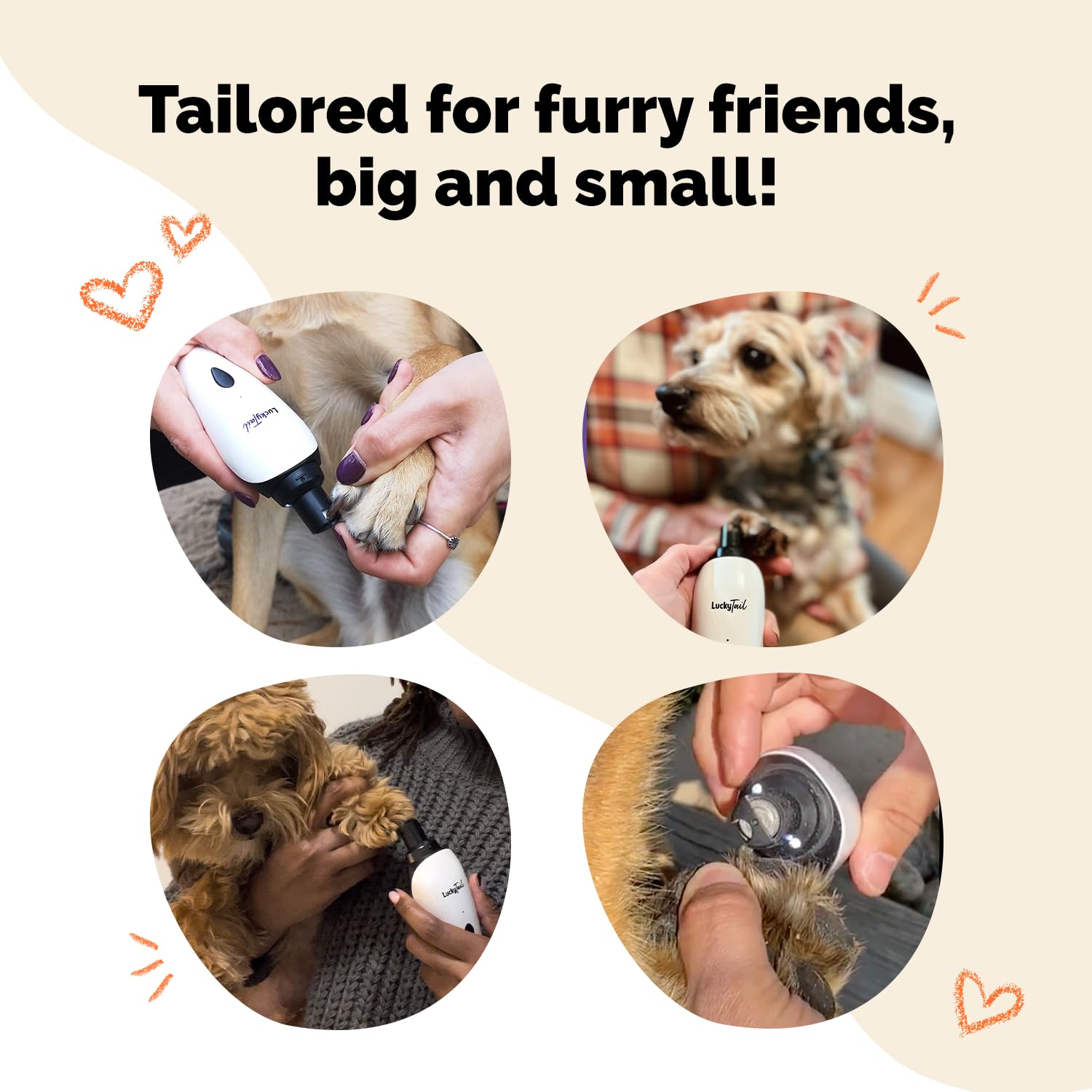 LuckyTail comparación de tamaño junto a una pata de perro para escala visual
