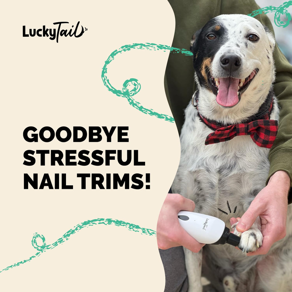 LuckyTail empaque incluyendo muela y accesorios con guía de uso