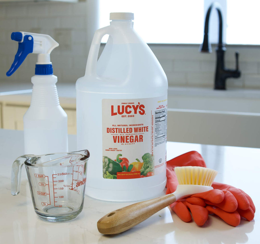 Lucy's comparación de tamaño con mano para entender la escala del producto