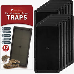 LULUCATCH frente del pack mostrando 12 trampas y ventaja de cantidad
