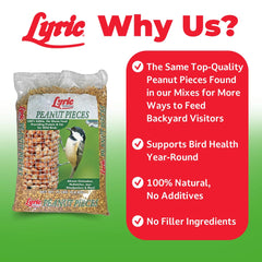 Lyric close-up of peanut pieces texture highlights nutritious pieces