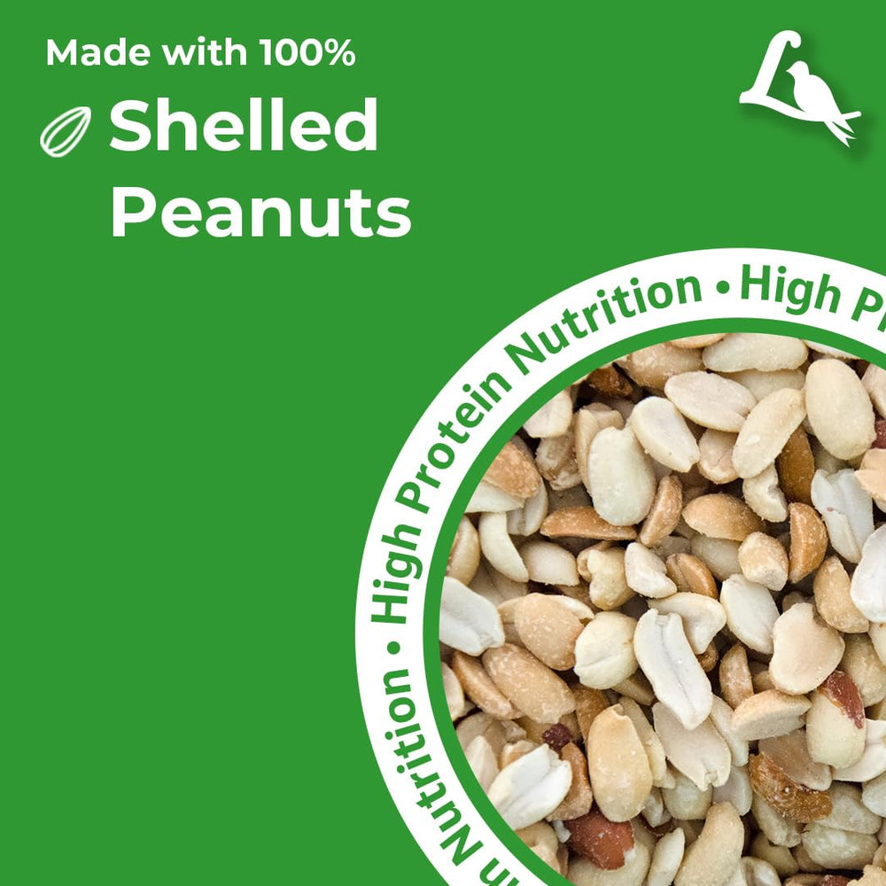 Lyric feeder filled with peanut pieces demonstrating ease of use