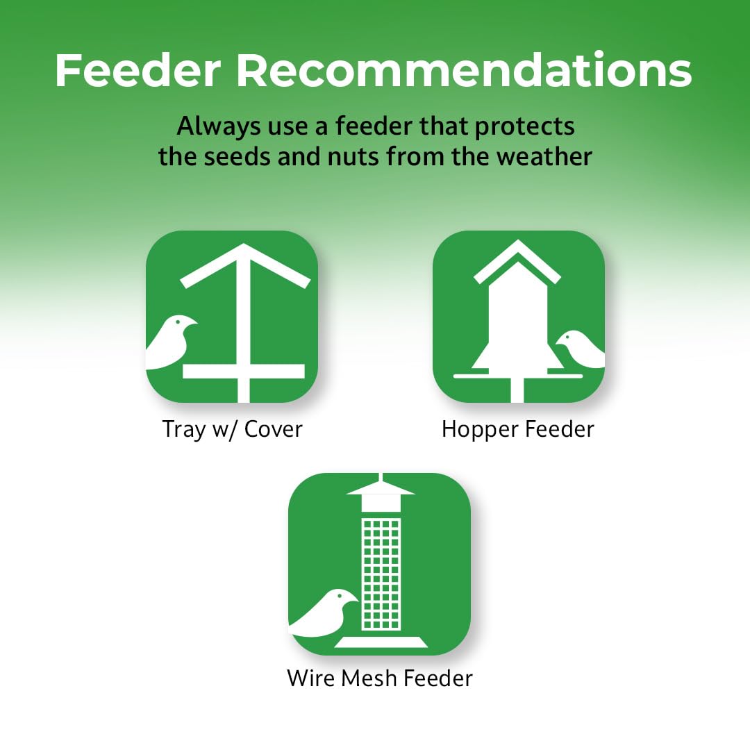 Lyric mesh feeder holding peanut pieces for cling-feeding birds