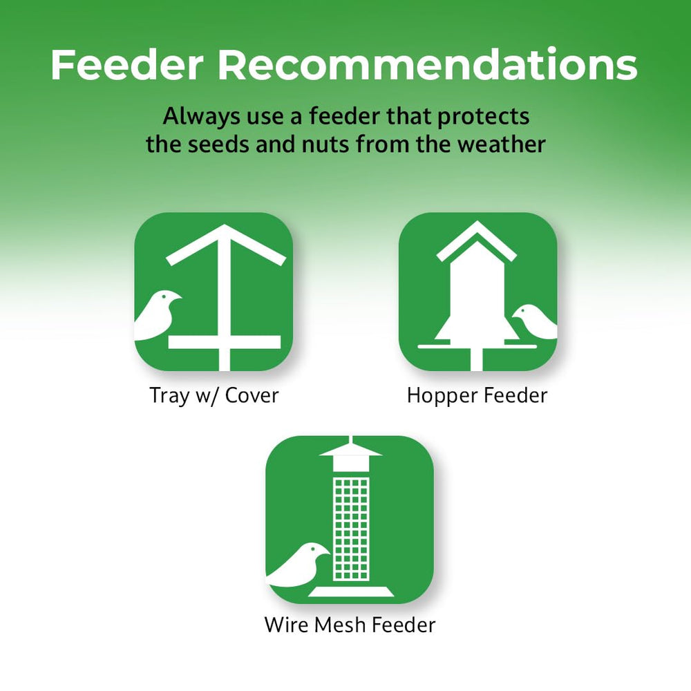 Lyric mesh feeder holding peanut pieces for cling-feeding birds