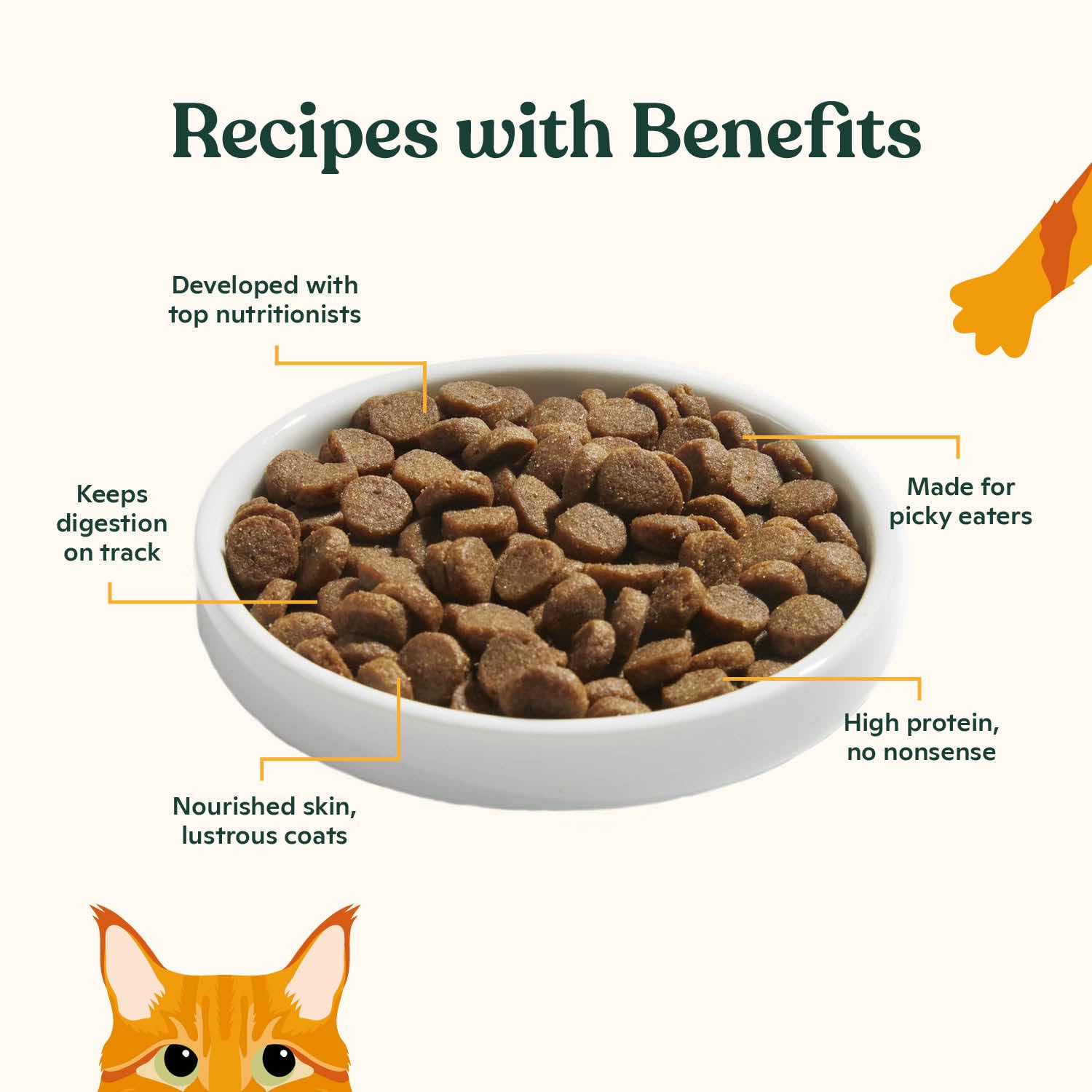 Made by Nacho pienso servido en plato listo para comer, atrae al gato