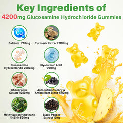 Mafetgmies etiqueta mostrando ingredientes activos como glucosamina y condroitina