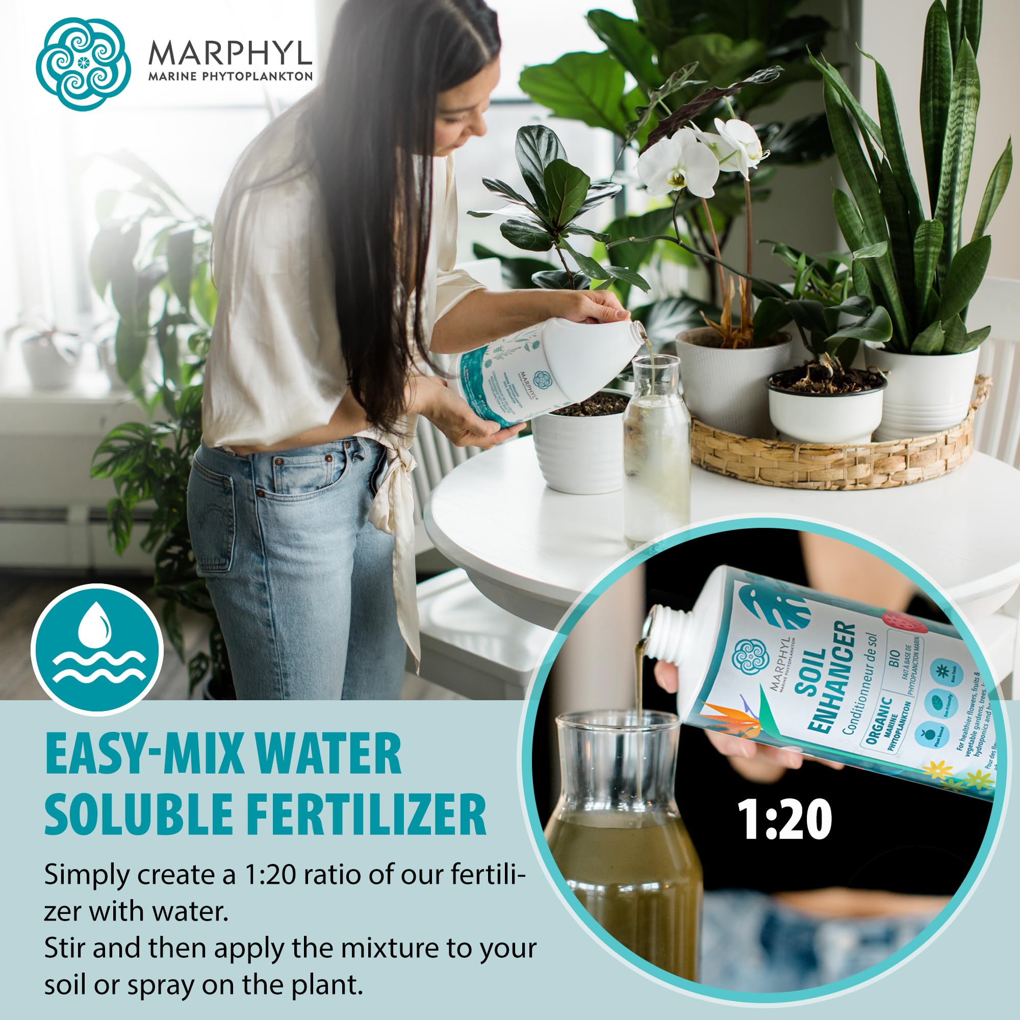 MARPHYL en suculenta mostrando uso suave y dosificación segura para plantas sensibles