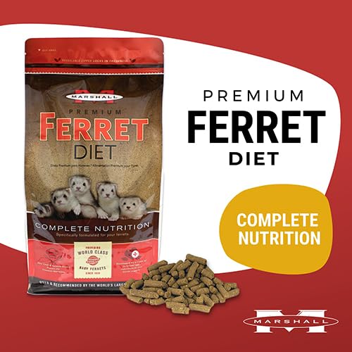 Marshall Pet Products primer plano de croquetas y textura visible, facilita ingestión rápida