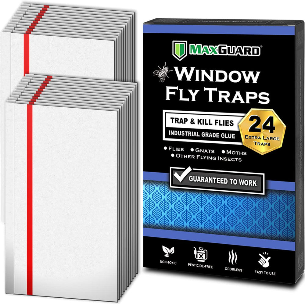 MaxGuard paquete frontal mostrando 24 trampas adhesivas, solución sin químicos