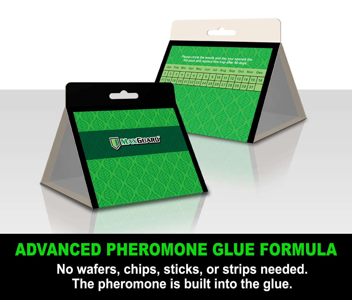 MAXGUARD primer plano del adhesivo extra pegajoso y su textura
