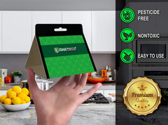 MAXGUARD trampas colocadas dentro de una despensa protegiendo alimentos