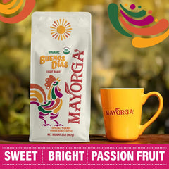 Mayorga café vertido en pour-over que realza notas cítricas y claridad en taza