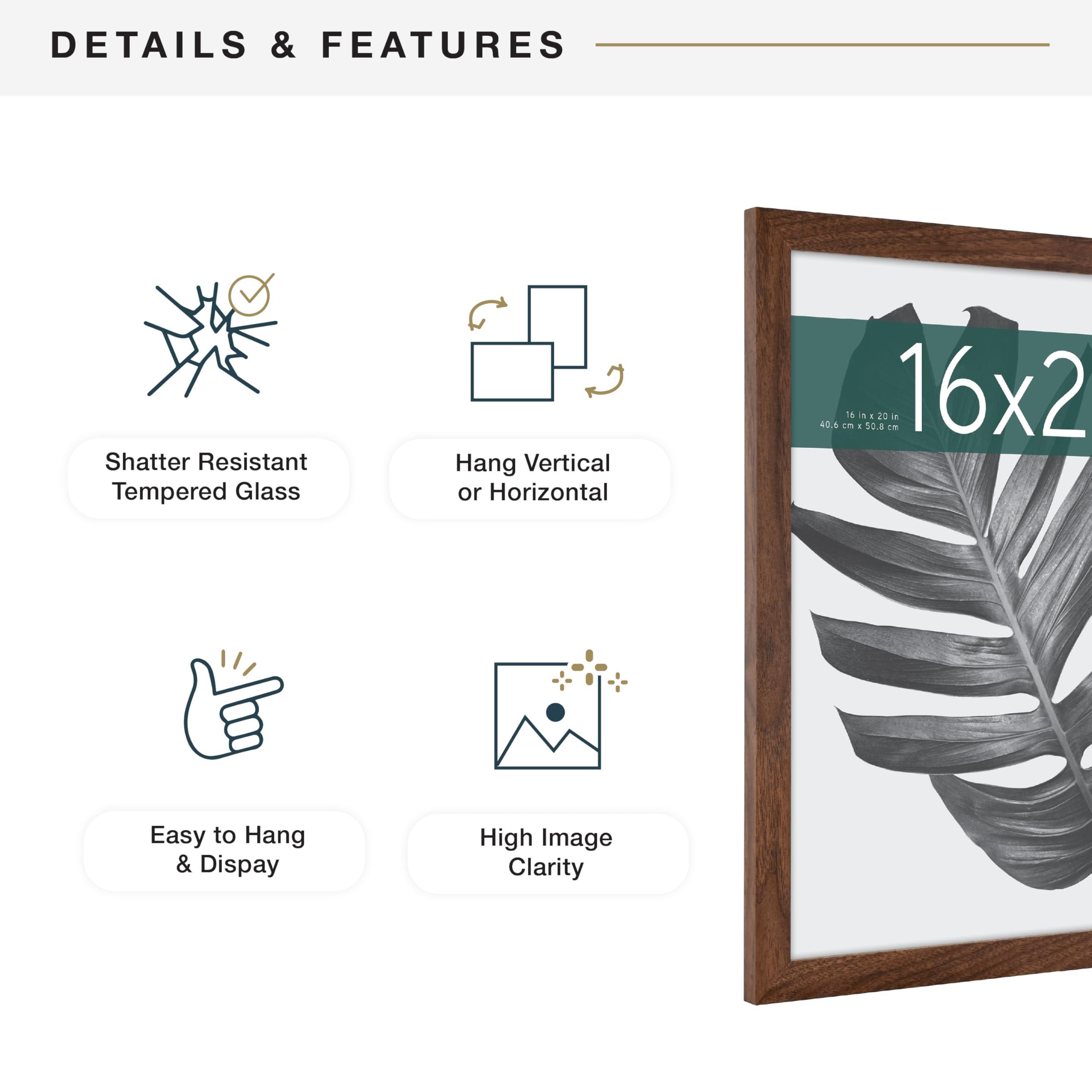 MCS walnut scale with ruler showing 16x20 size clarity for accurate selection benefit