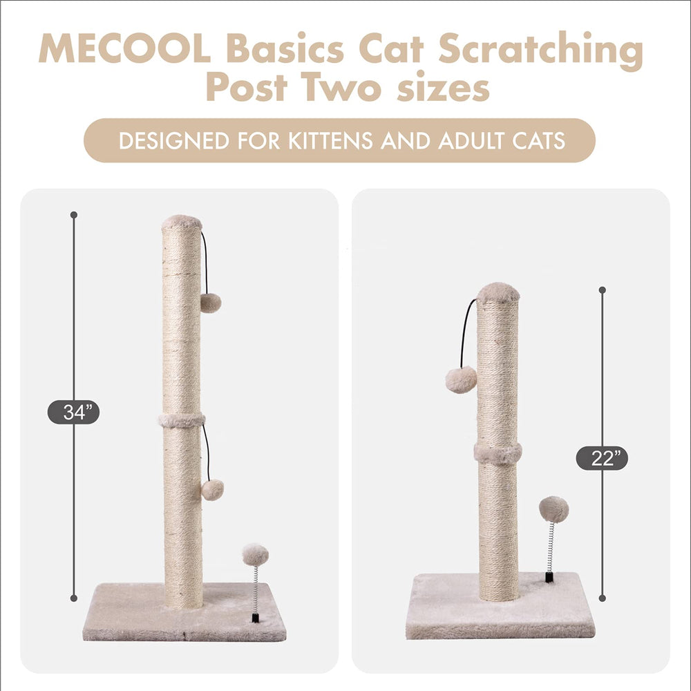 MECOOL comparación de tamaño con gatito, ideal para cachorros y gatos pequeños