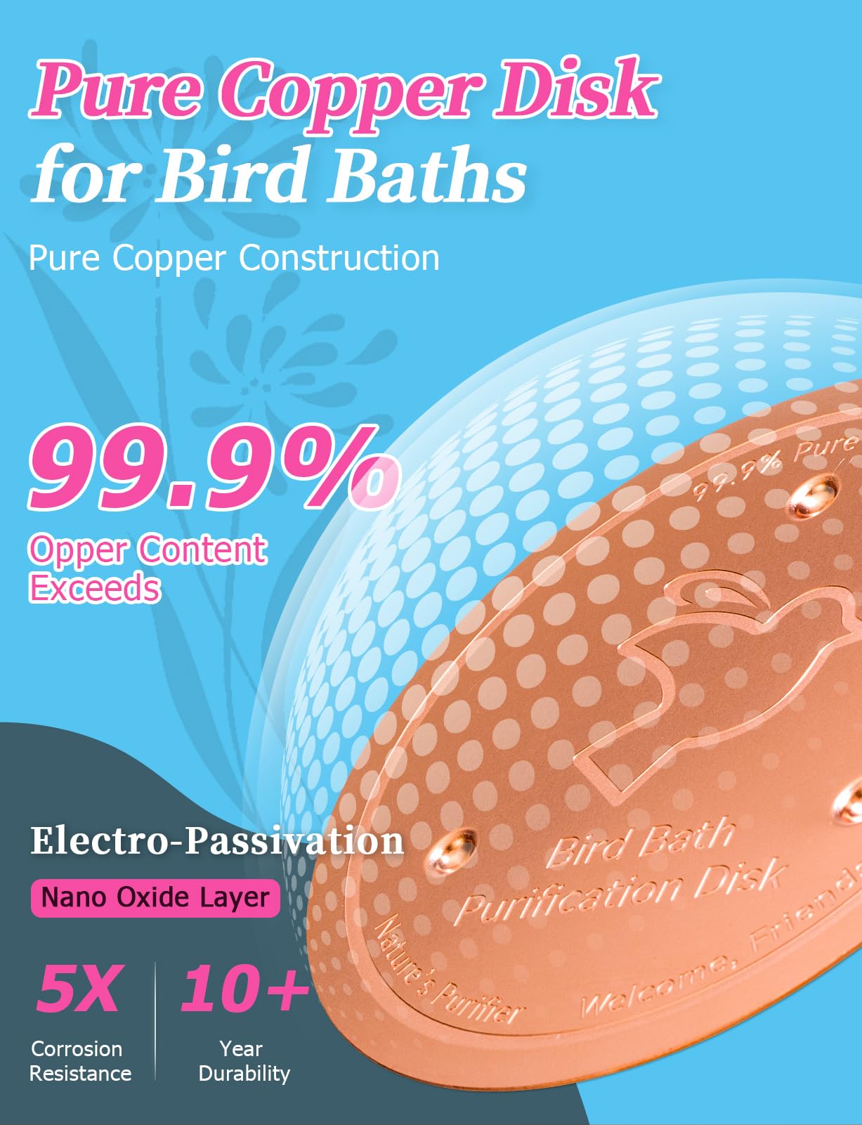 Mellbree disco con soporte de tres puntos maximiza contacto y eficiencia en el agua