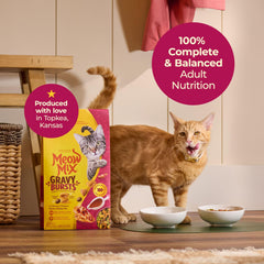Meow Mix croquetas en primer plano resaltando textura crujiente
