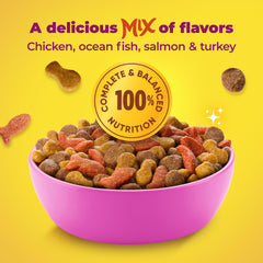 Meow Mix gatito comiendo, aceptación rápida y energía saludable
