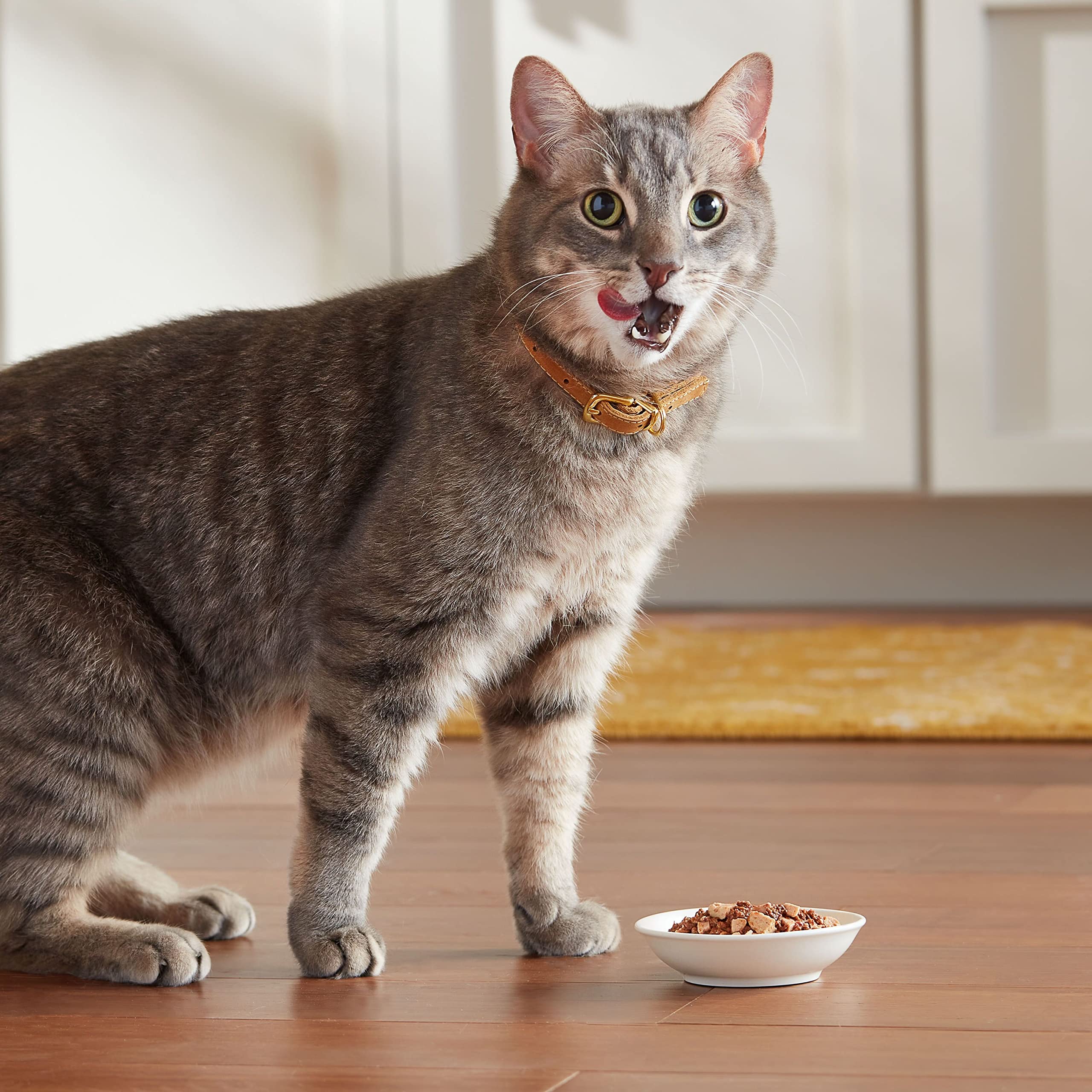 Meow Mix tazas apiladas para almacenar y organizar fácilmente