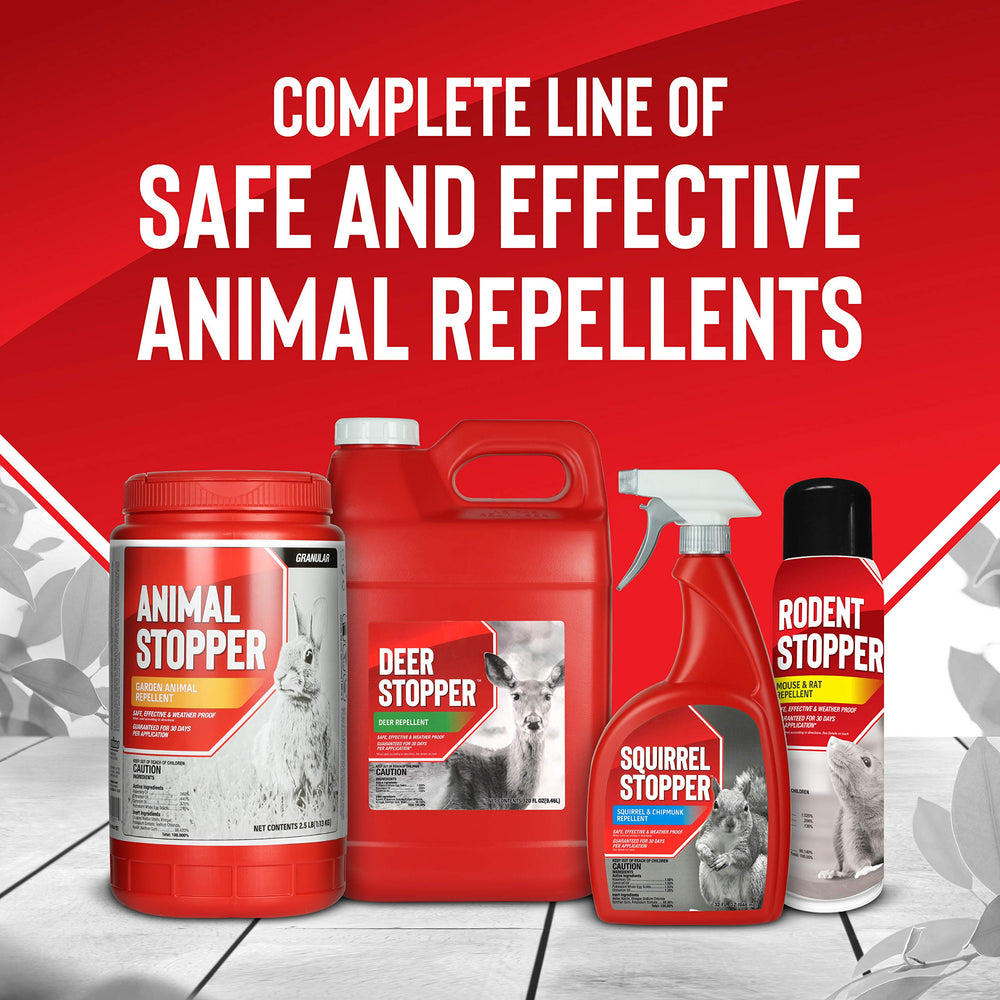 Messinas spray repellent on outdoor surface resisting rain