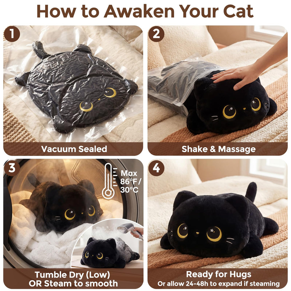 Mewaii gato negro procesos de lavado y secado para mantenimiento