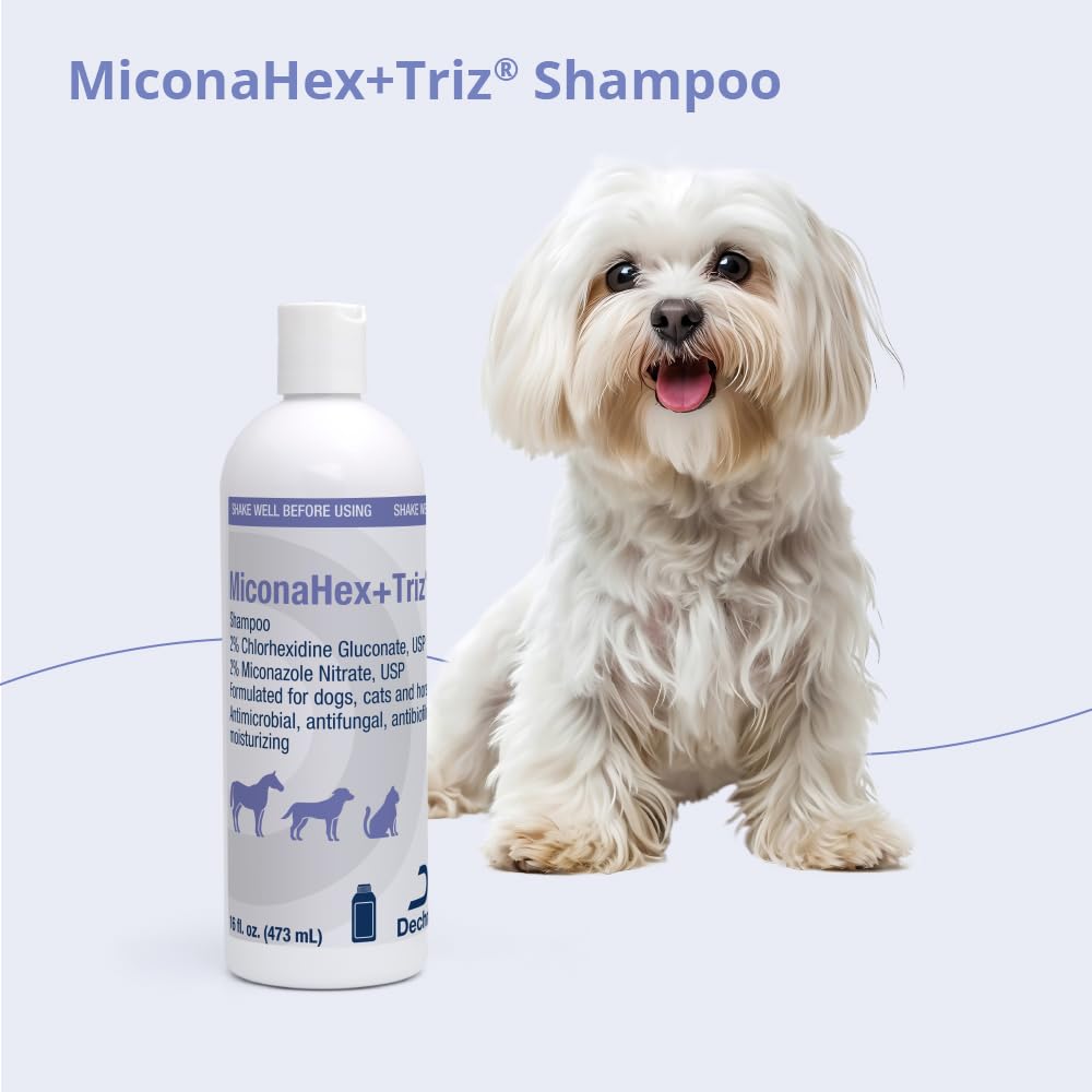 MiconaHex+Triz botella 16 oz para varios lavados y ahorro