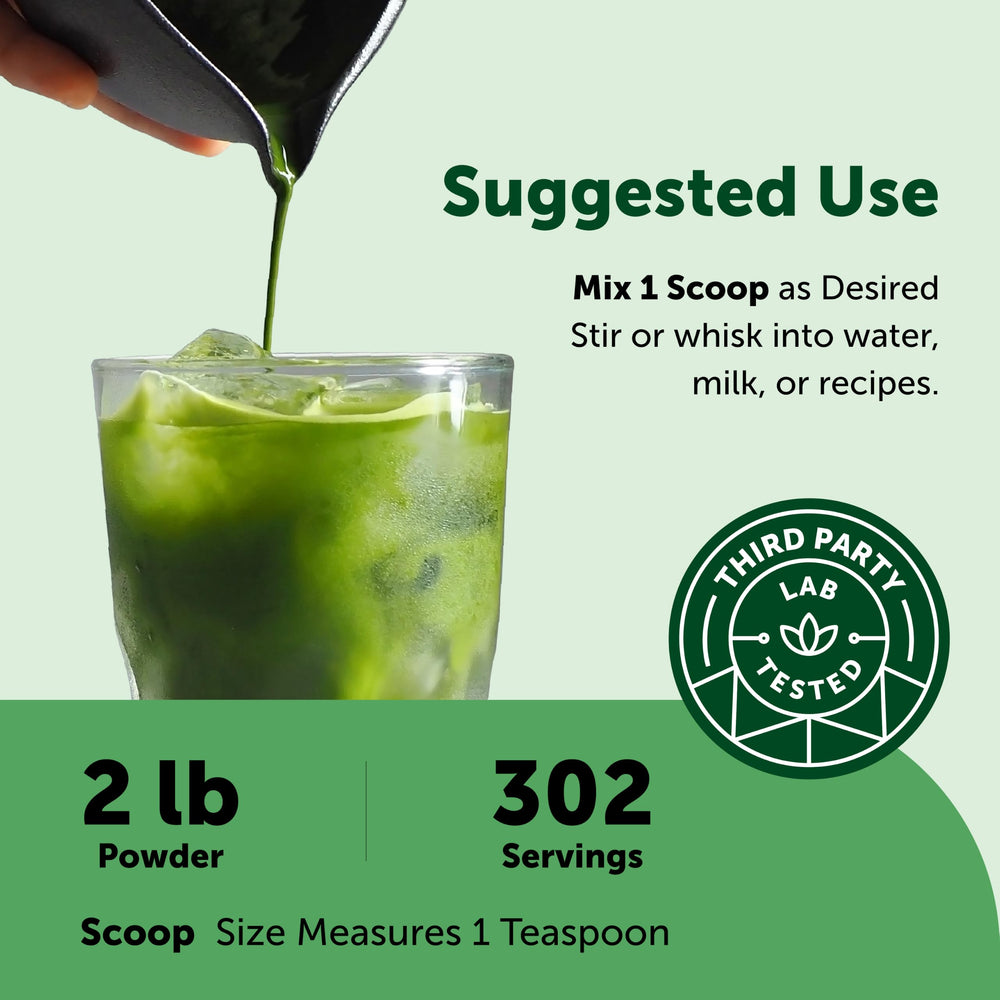 Micro Ingredients taza con matcha preparado, espuma sedosa y color vibrante