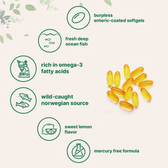 Micro Ingredients cápsulas en mano ilustrando tamaño y facilidad de consumo