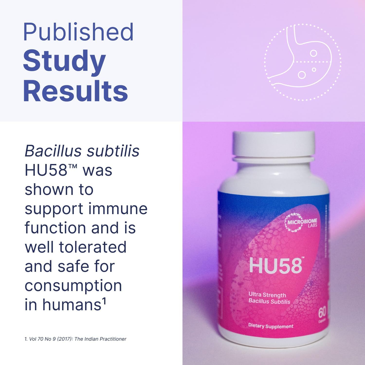 Microbiome Labs HU58 polvo de esporas en detalle que ilustra estabilidad