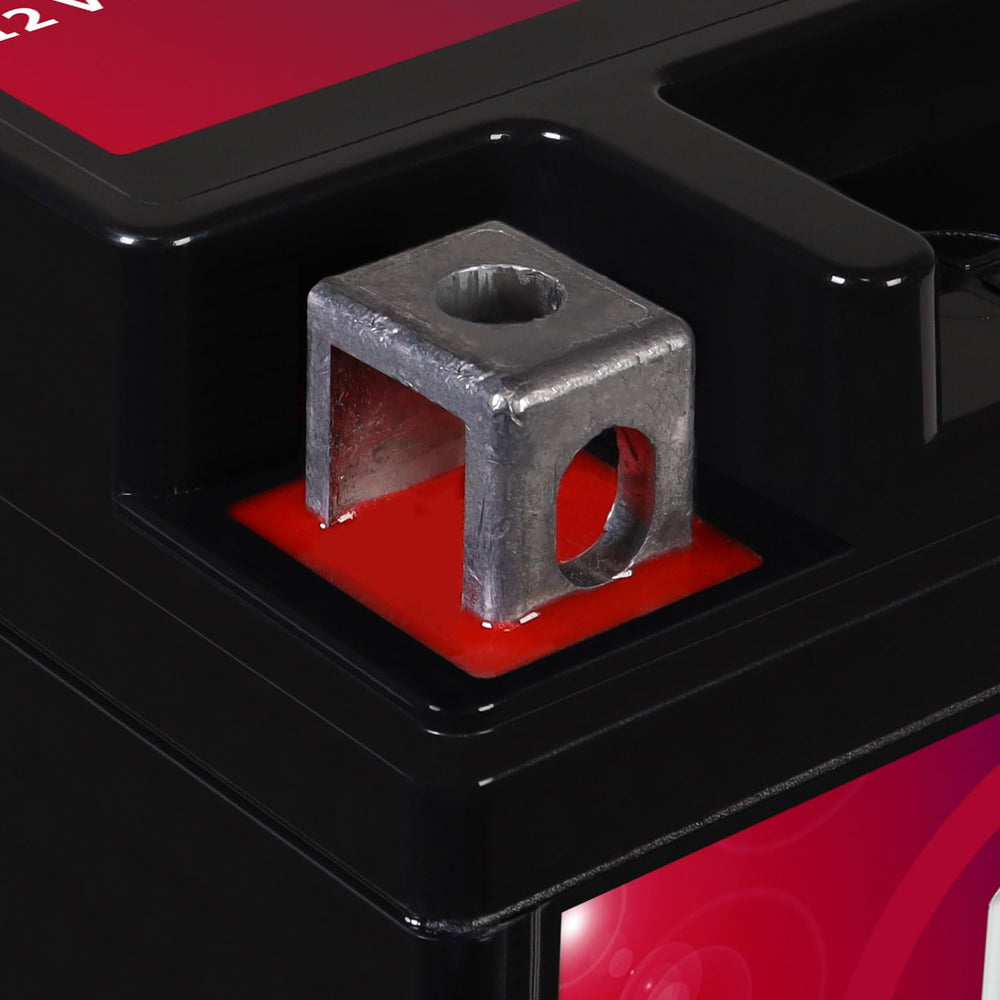 Mighty Max Battery etiqueta con especificaciones y garantía visible